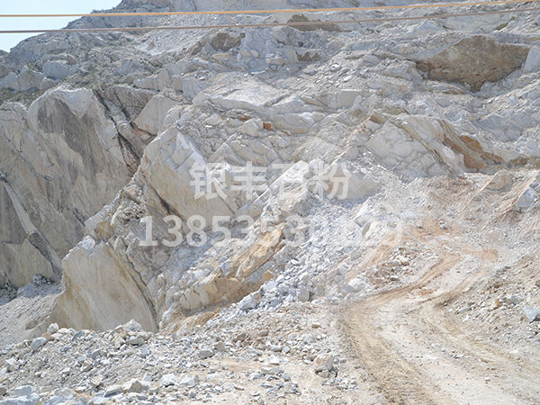 重钙粉原料厂家